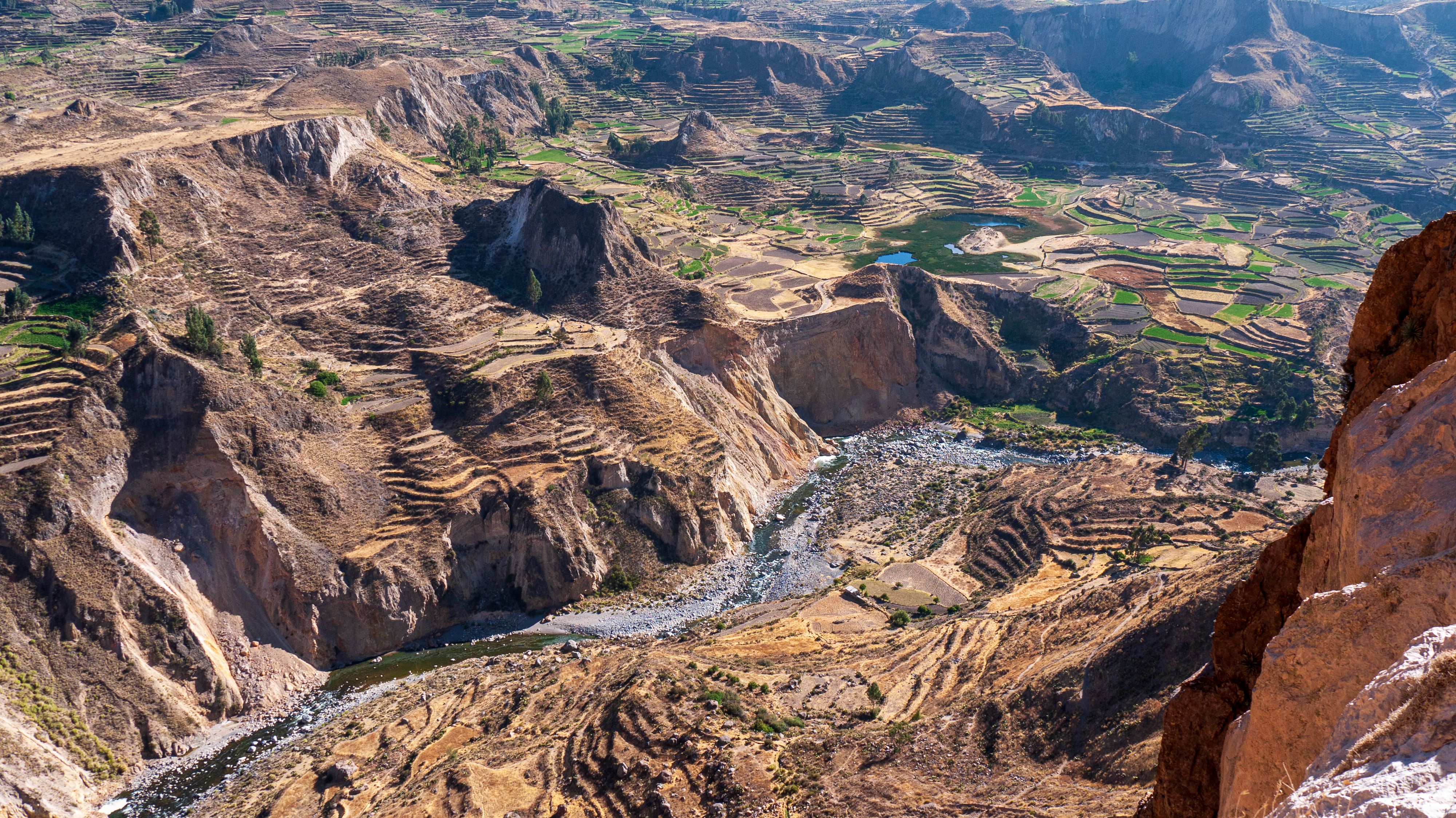 Cañón del Colca