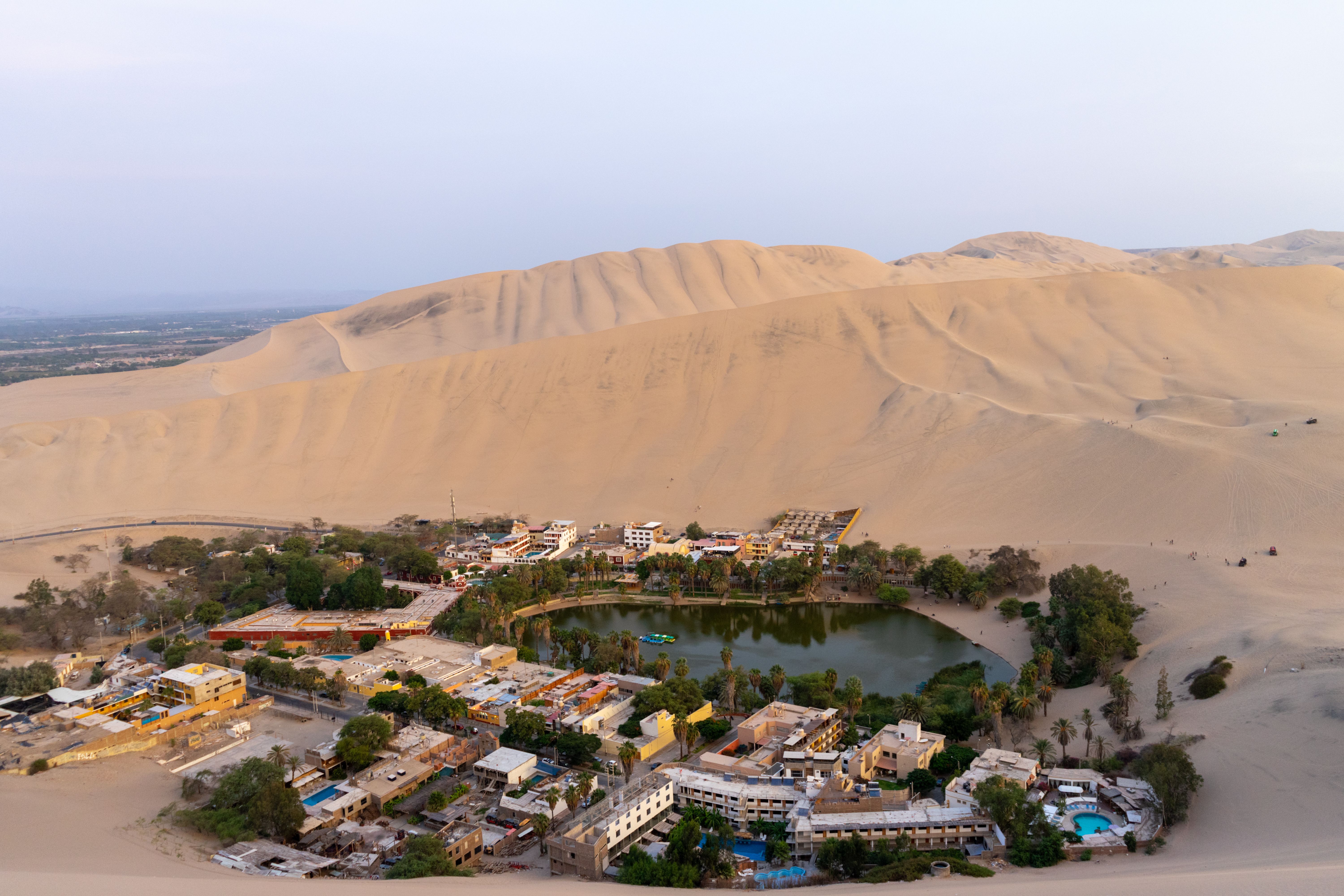 Ica Paracas Premium